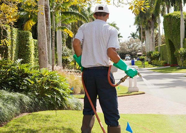 About Culberson NC Pest Control